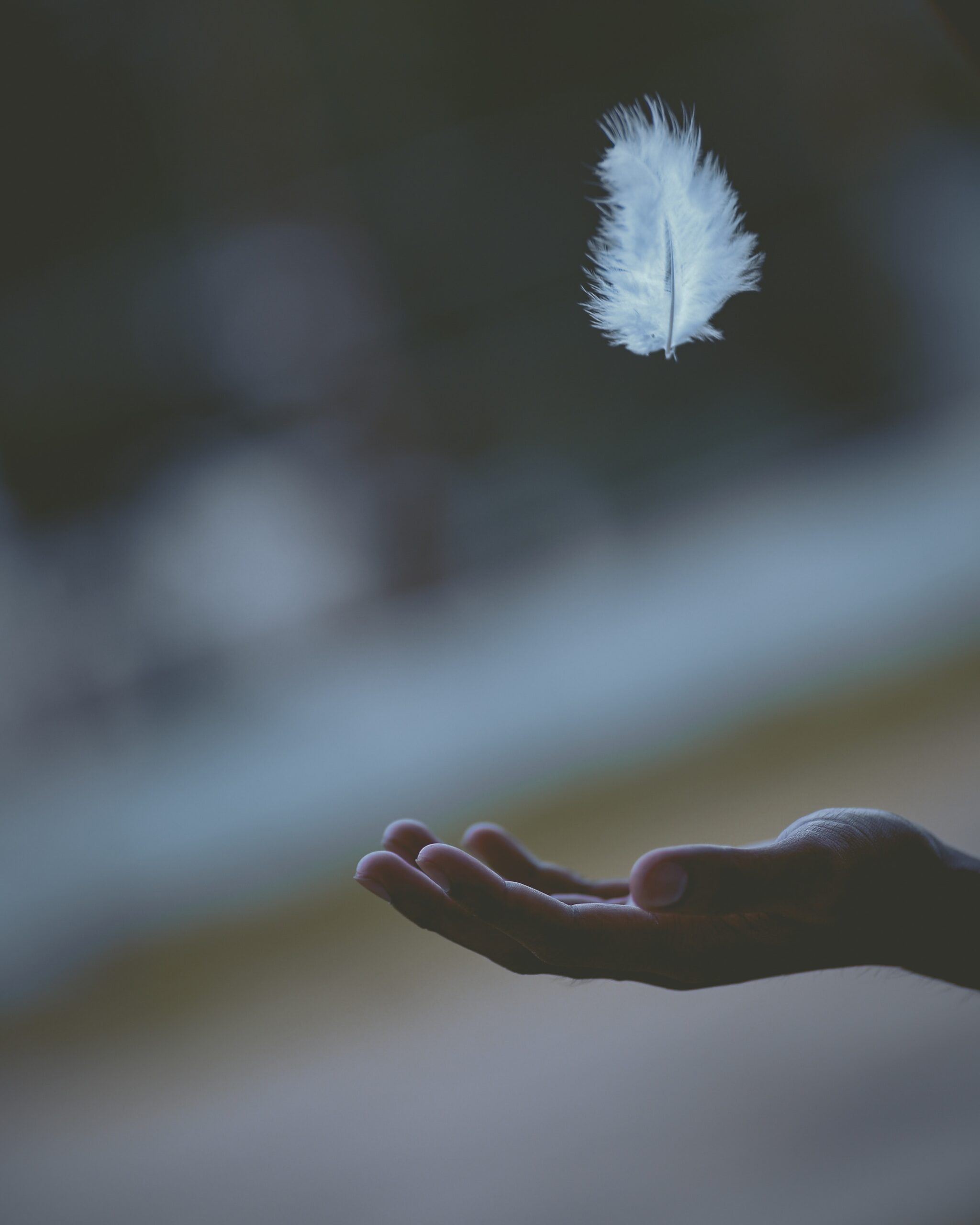 pluma para confección